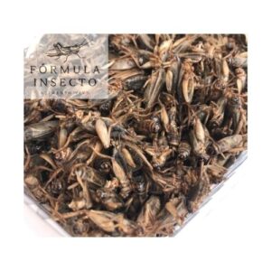 Grillo Congelado 1.5kg