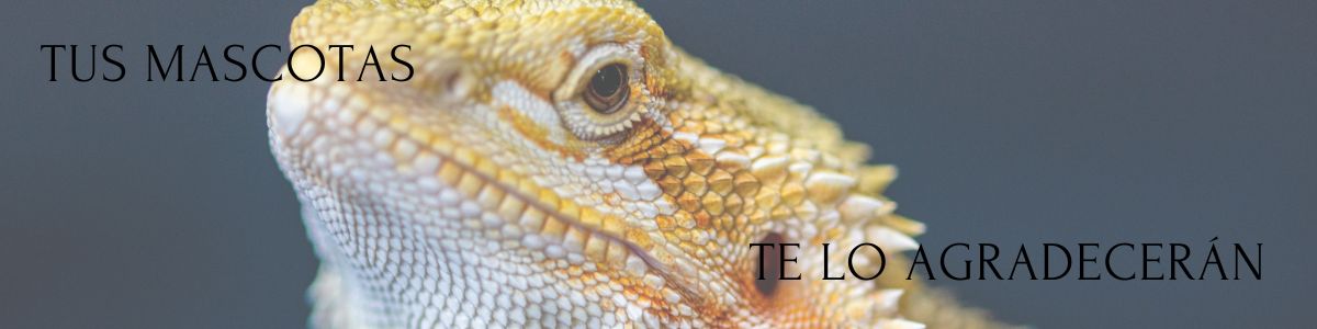 xr:d:DAGCSUZvZ0s:9,j:836968359240994412,t:24041309