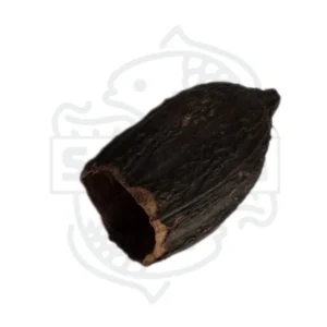 Cacao Pod