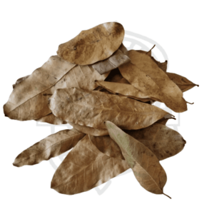 Hojas de Khaya