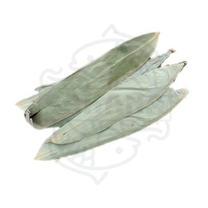 Hojas de Bambú
