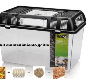 Kit Mantenimiento Grillo