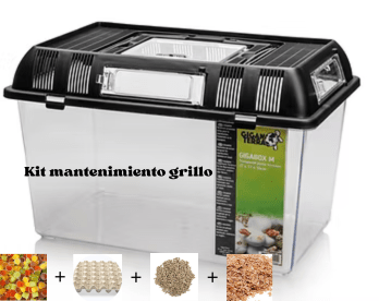 Kit Mantenimiento Grillo